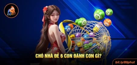Chó Nhà Đẻ 6 Con Đánh Con Gì? Có Ngay Câu Trả Lời Chính Xác