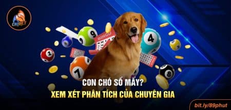 Mơ Thấy Con Chó Số Mấy - Giải Mã Mới Nhất Về Giấc Mộng Này
